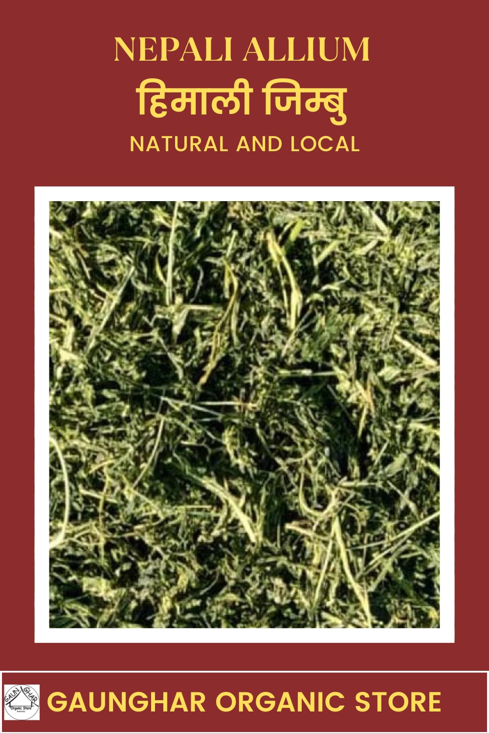 Jimbu (Allium Schoenoprasum)